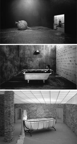 Ann Hamilton - installations